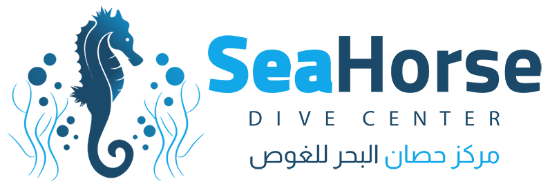 Aqaba Seahorse Dive